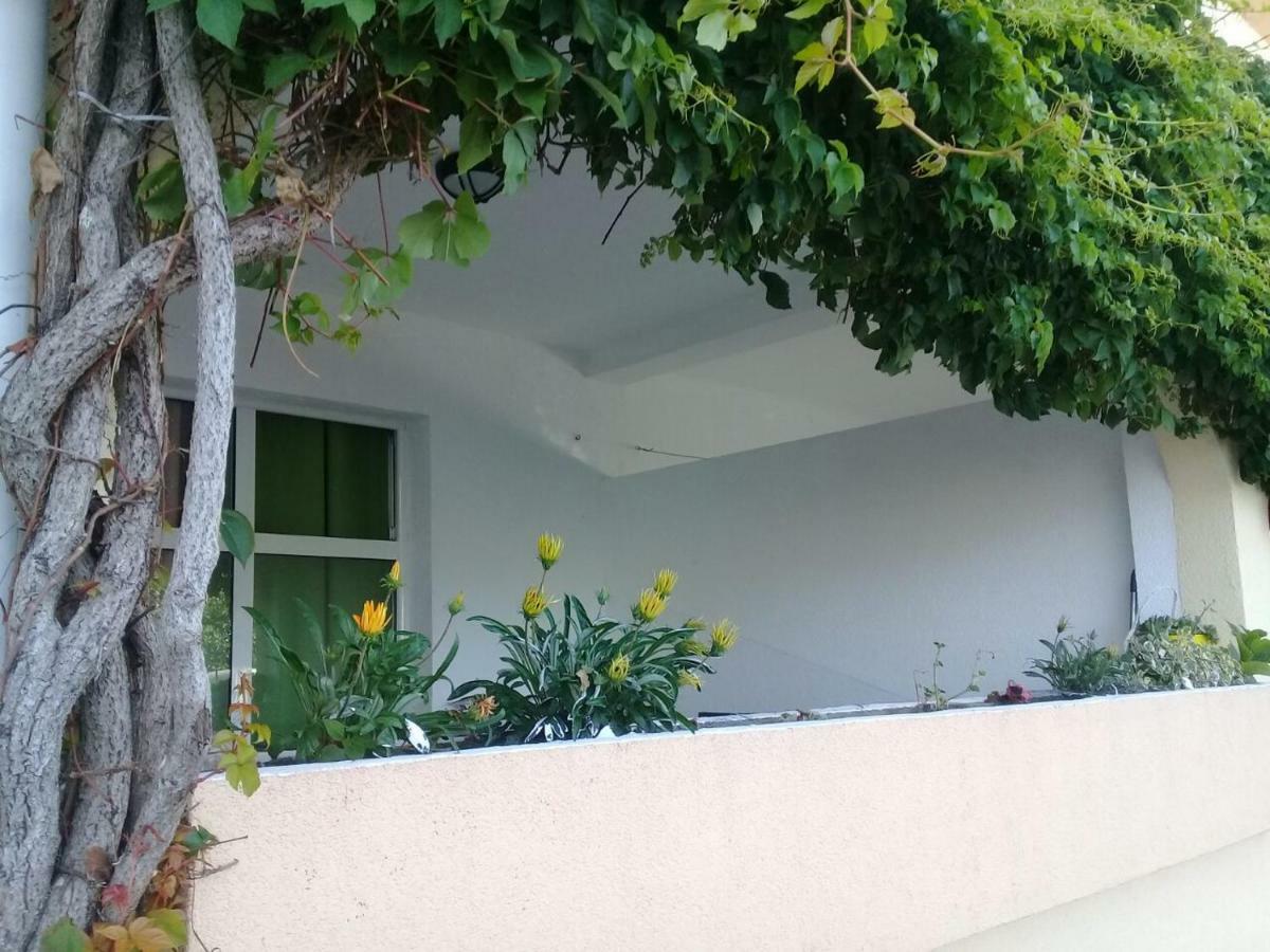 Montenegrina Apartment Budva Exterior photo